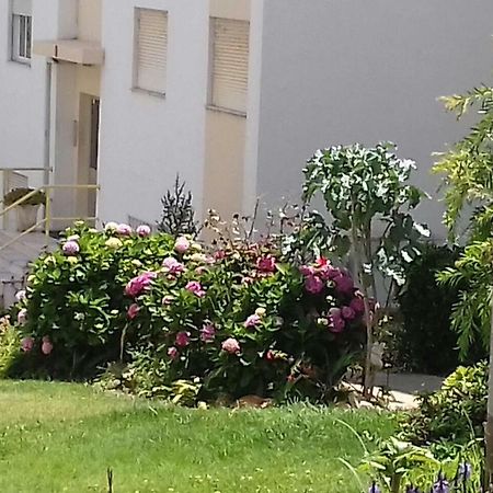 Tiagos Apartament FAO Dış mekan fotoğraf